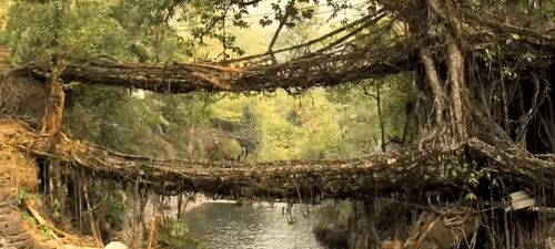 Untitled Collection #208339607