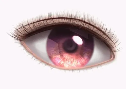 Item #42950694591796666568266939449637019646211598636303907727097118079299662905345 Media