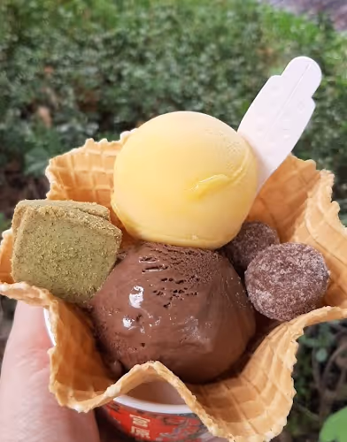 Untitled Collection #99423536