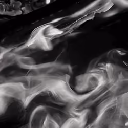 Whispflame.crypto
