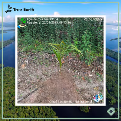 Item #8500196597889277390194123329501889087166328879864934763448349380069197611009 Media