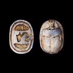 Scarab #156