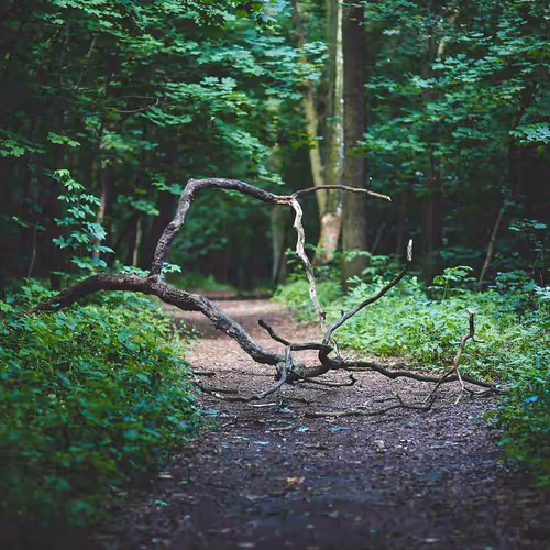 9260538880738646448046418891529255088625136826813512017686583787418388791396