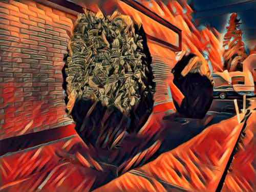 Item #47363753603702379708308966357623410528548816847410412850833506856489627680868 Media