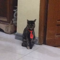 Nunuy_Gallery #2