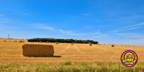 Item #35863194083128256797647772425284652682645032595179500226087347092233595650049 Media