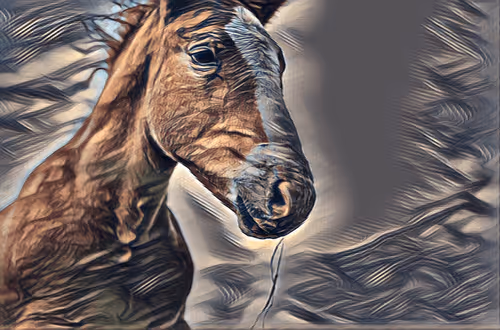 Item #54593652383459731767777383320415424164820202733853921615926635520023777509377 Media