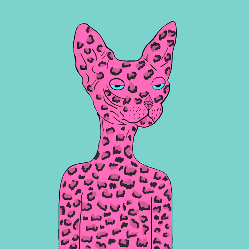 Item #36260561940727915815779605343249861909338351910318912545566219083540343029761 Media