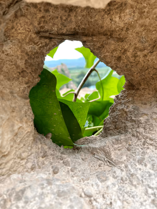 Item #51662678419762243979574358001385313596968398686549878551493020853085270966282 Media