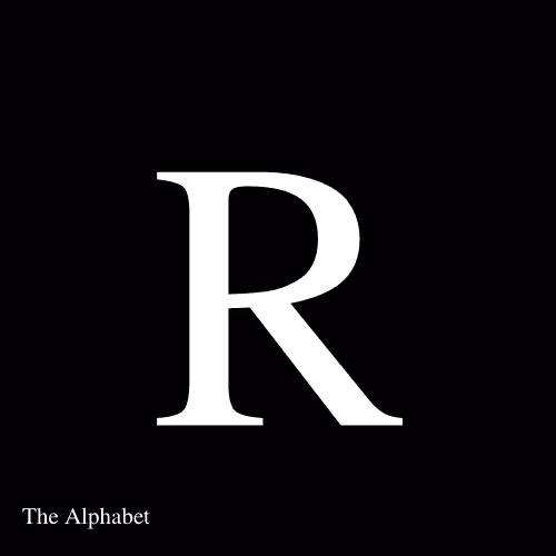 Item #15667918565991512040027370799027687282016869594247132407079641290384731013130 Media