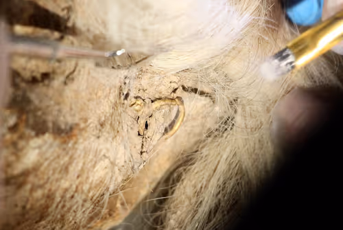 Item #4572801566635699787359068361117184921102983508121649030375987869767845281793 Media