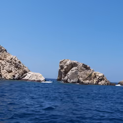 Wild Rocks