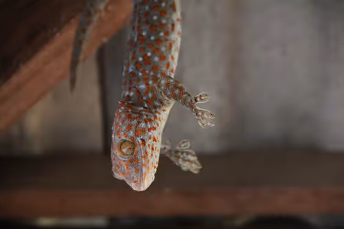 Untitled Collection #133094545