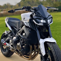 Storm Trooper FZ#01