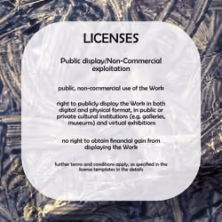 License Level 3 - Public display/Non-Commercial exploitation
