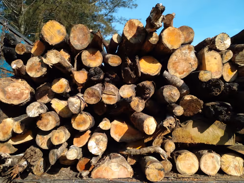 Item #102006201378976520734460731776155729887307616800660626474018585899089849745409 Media