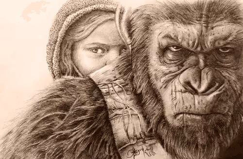 Item #48962084060186019940623196789396244510789399652711377126682244790205240311811 Media