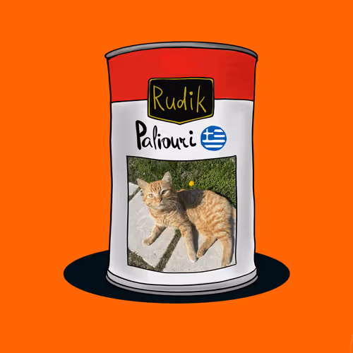 113036293229774222933862000579628627864556668685415743327960412363578044055553