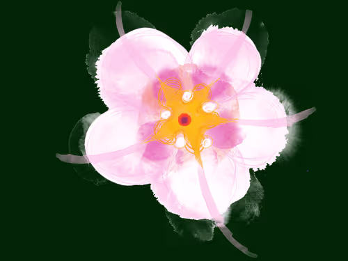 Item #36852278608857291470989576231944557876708875347652874372458497599061354348545 Media