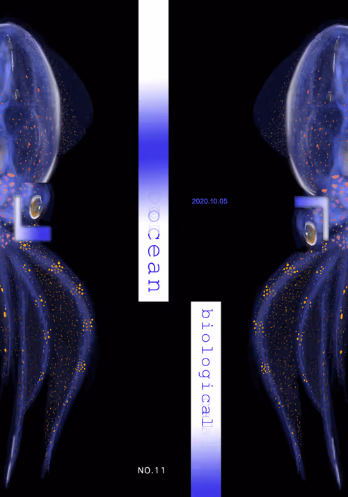 Item #49380836627770662733359422450185159630436709343046895638781015842056432517121 Media