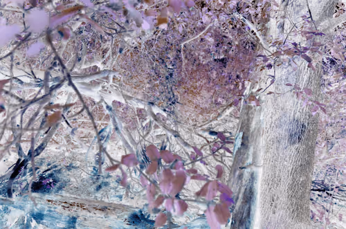 Item #34217295954232969454130535154785172916051382868535338071518571417524986970113 Media