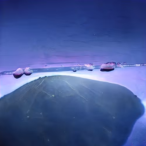 Item #99383328033969240903652945455654797110023687405378811514838542087855068413953 Media