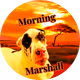 Morning Marshall