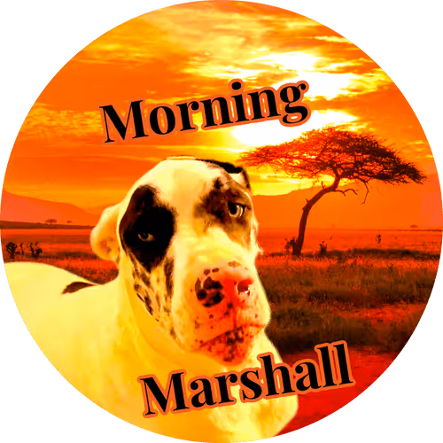 Item #15794007923744964589463280162252880392984187578375107792652798212509219684353 Media