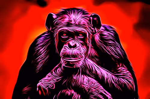 Item #5907536716489967460539346678898133766536293959584191097238124681650354782209 Media