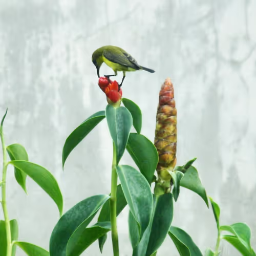 Item #94394910353456792511770389683380397167058265892134190948053464649361910661121 Media