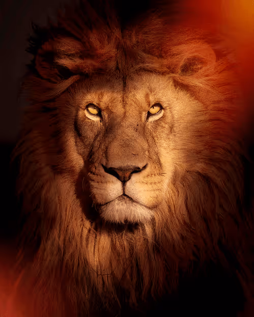 Item #113521178305738834012148518391550550346987699669126125358931063152408285676020 Media