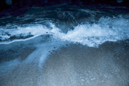 Item #65334289746679534718729475887804441956060191570096093289886828084982005628929 Media