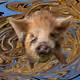 53180631642456764738139299674940583640479914081960747744151189969685796880385