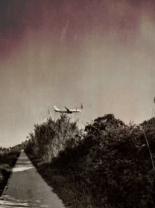 Item #36816001644917254617906175698674191035781868216999975889902342316772961550337 Media