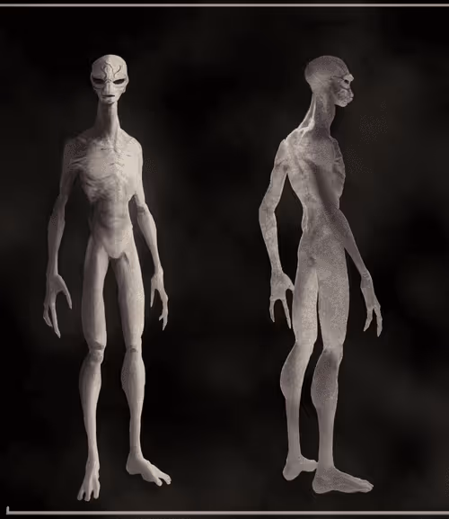 Item #77857013498944720190854790804710868687861916756572835242750704613881838305380 Media