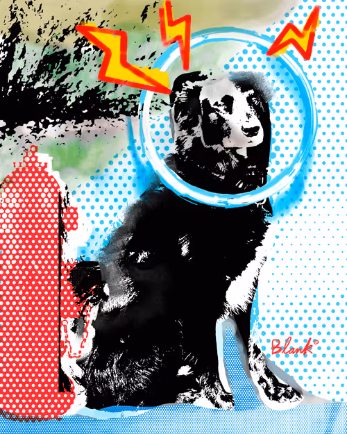 Item #94776370975603293673619888590293222690841522442131495312577472677716036681729 Media