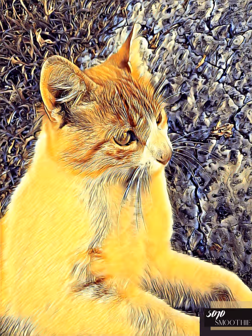 Item #70173555060280459679020221103172679865592931086946583501557978867807385812993 Media