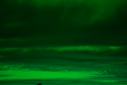 Item #102771070306004819985898819999052787652815039064996374663455446001602107801601 Media