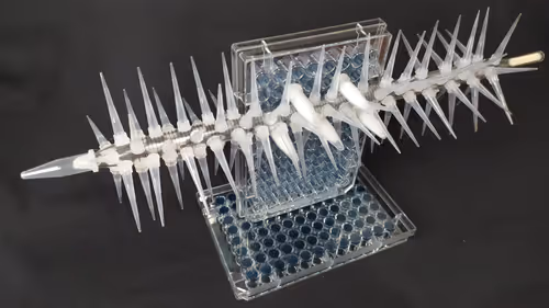 Item #108955583872739655741702358868652756405273862791069305959596897676418112028673 Media