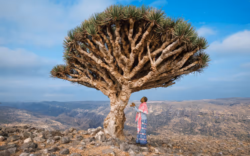 Untitled Collection #64364900