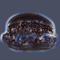 103021099077614825187577421930856695141498909813172536276445923584122850115585