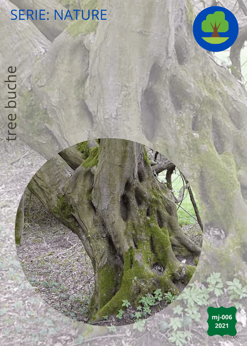 Item #18275507963027453672764924657955567223843030799966292493478830790053489278977 Media