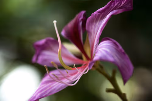 Item #16169064393399629467859942900905405490006492366557123064973208572427279269889 Media