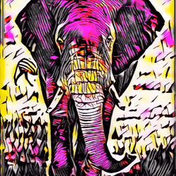 Magique Elephant #10