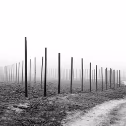 92453260968842960055191976889840526664419783576829596708965298277997772537857