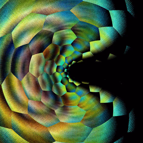 Item #47993365230904546224908061961898398429308184507692648287352000266244370464769 Media