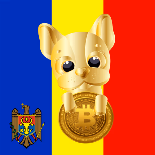 Item #100077762971086579418787093001327282623494689102943923635237508293373187850241 Media