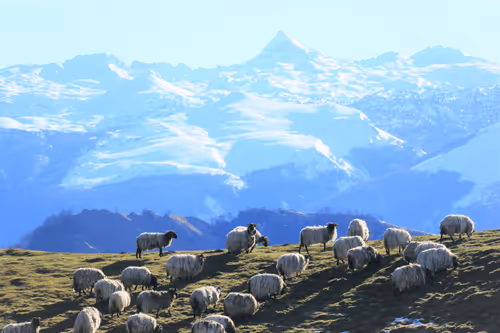 Item #61601413983432262200822046408210296549184035160504594584973518342468617109514 Media