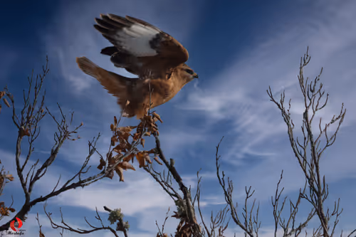 2468119463308914702005443652102614178506533567319377457804557009768524283905