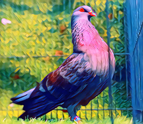 Item #10094219962135783735053489214764519107745543906553609880987490856087083548673 Media